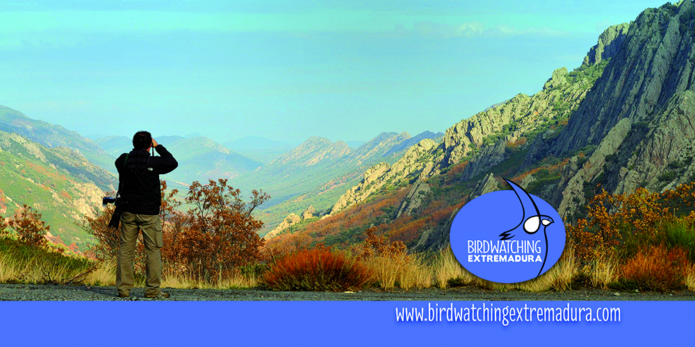 Flyer Birdwatchin Extremadura